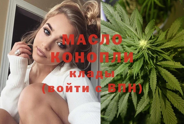 дмт Богородск