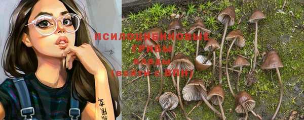 spice Белоозёрский
