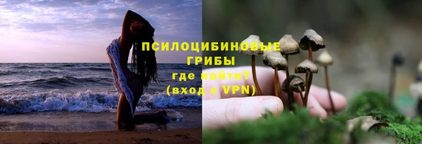 spice Беломорск