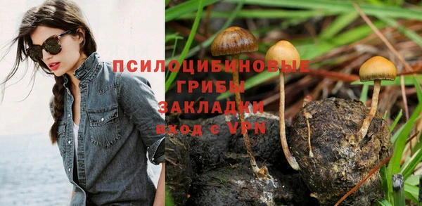 spice Белоозёрский