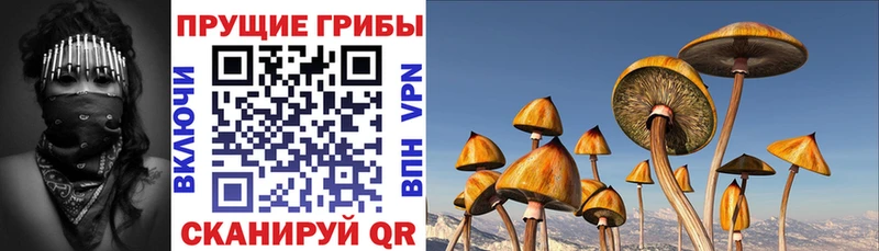 Галлюциногенные грибы мухоморы  Купить закладки  Торопец 